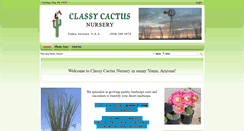 Desktop Screenshot of classycactus.com