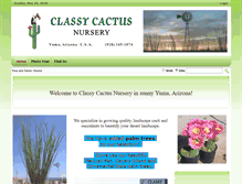 Tablet Screenshot of classycactus.com